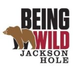 Being Wild Jackson Hole